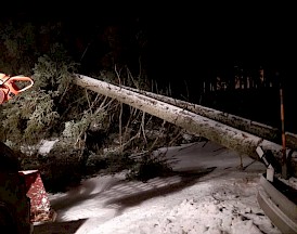 Artikelvorschaubild Einsatz Sturmtief "Bianca"