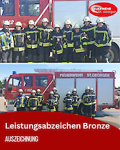 Artikelvorschaubild Leistungsabzeichen Bronze