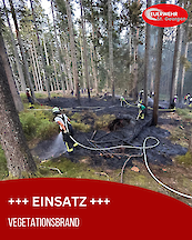 Artikelvorschaubild Brand - Vegetationsbrand
